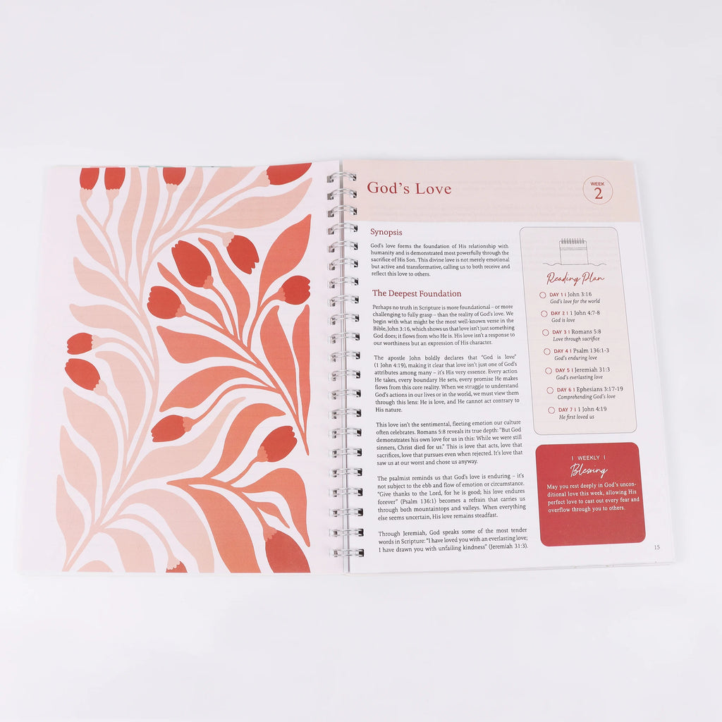 The Bible in A Year: Women's Bible Study Plan-Daily Scripture readings structured 52-Week plan for consistent Bible Study & Spir